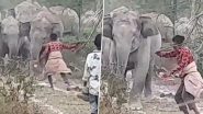 Viral Video: हाथी को डंडे से मारकर परेशान करने लगा शख्स, गुस्साए गजराज ने ऐसे सिखाया सबक